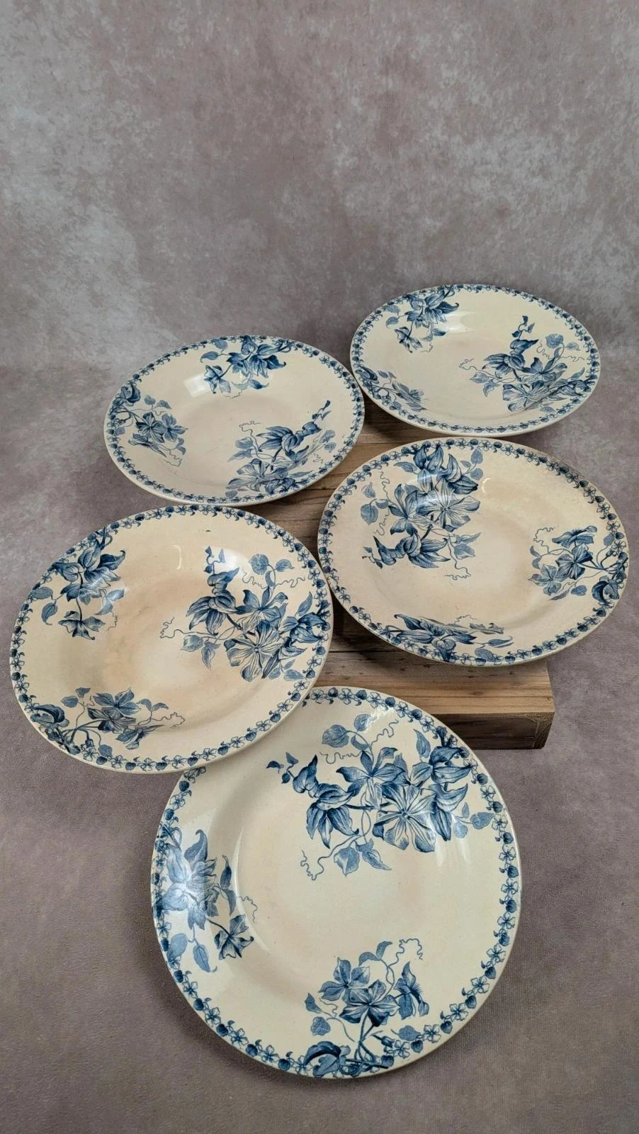 Lot de 5 assiettes creuses anciennes Vieillard & Cie Bordeaux, modèle Clématite – photo 2